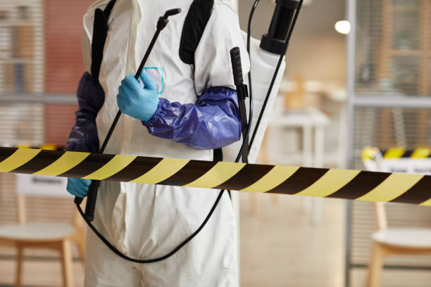 Professional Blood Cleanup technician working in Blessing, TX